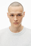 Alexander Wang vintage heather grey 密绒圆领套头衫