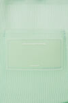 alexander wang ryan 透明罗纹针织小号手袋 absinthe