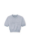 Alexander Wang washed grey 灰色棉质混纺雪尼尔徽标套头衫