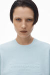 Alexander Wang ariel blue 罗纹毛衣 t 恤