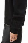 alexander wang 硬挺毛圈布连帽衫 black