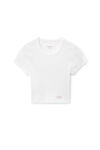 Alexander Wang white 罗纹平纹针织布短款短袖 t 恤