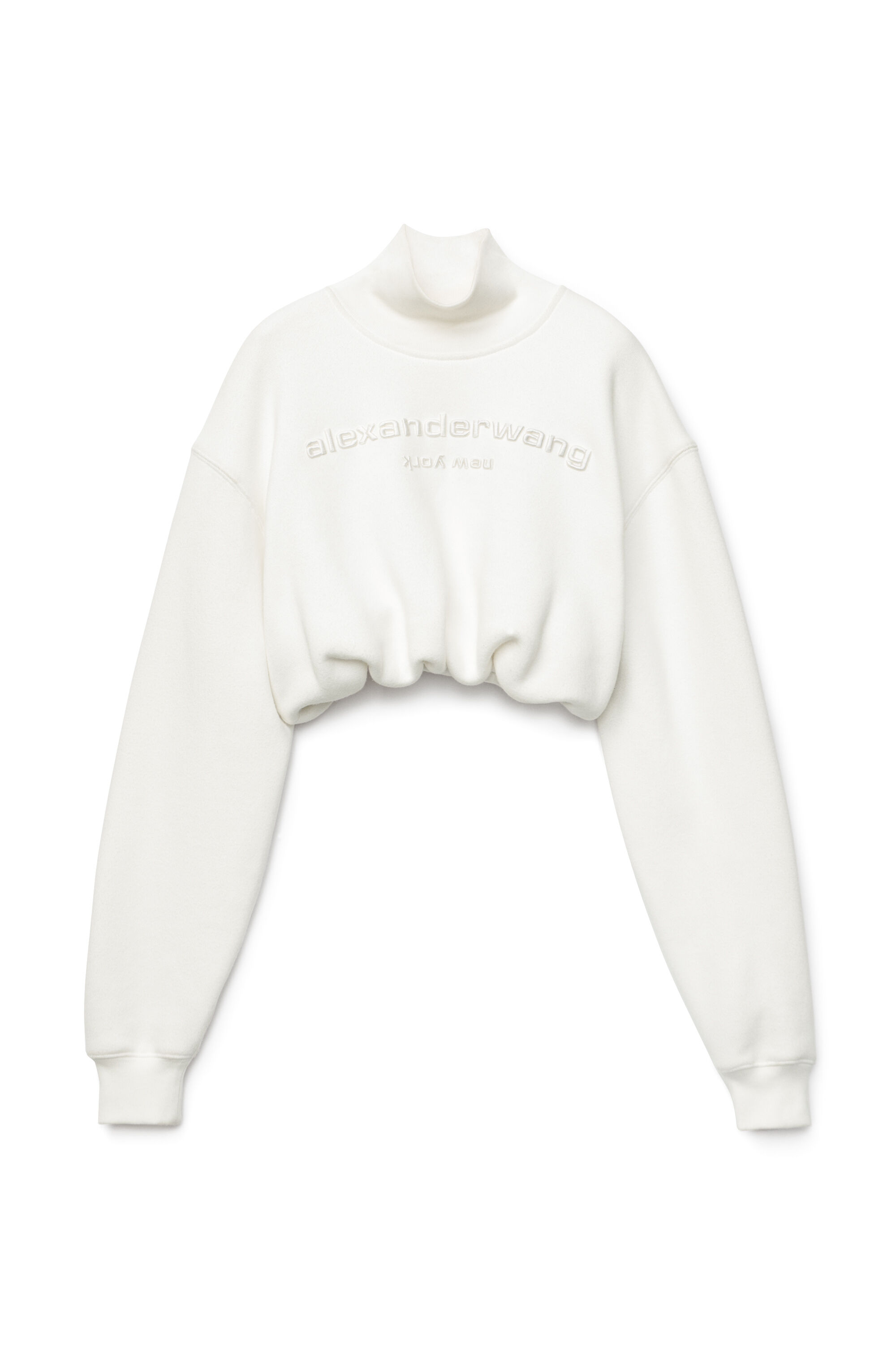 alexander wang sweatshirt